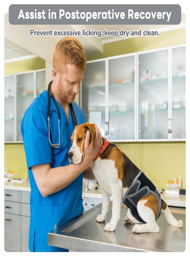 بوماي بوريتي حفاضات بوميبوريتي للكلاب الإناث، سراويل صحية قابلة للغسل، حفاضات دورة شهرية قابلة لإعادة الاستخدام للكلاب لعلاج سلس البول مع شريط لاصق قابل للتعديل، مقاس صغير جدًا، رمادي - Image 5