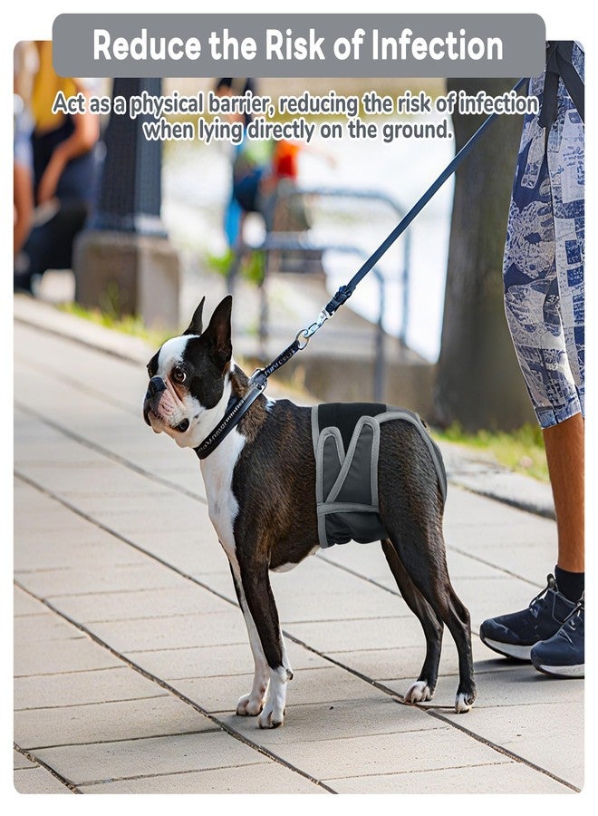 بوماي بوريتي حفاضات بوميبوريتي للكلاب الإناث، سراويل صحية قابلة للغسل، حفاضات دورة شهرية قابلة لإعادة الاستخدام للكلاب لعلاج سلس البول مع شريط لاصق قابل للتعديل، مقاس صغير جدًا، رمادي - Image 4