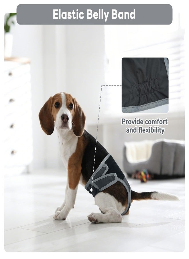 بوماي بوريتي حفاضات بوميبوريتي للكلاب الإناث، سراويل صحية قابلة للغسل، حفاضات دورة شهرية قابلة لإعادة الاستخدام للكلاب لعلاج سلس البول مع شريط لاصق قابل للتعديل، مقاس صغير جدًا، رمادي - Image 3