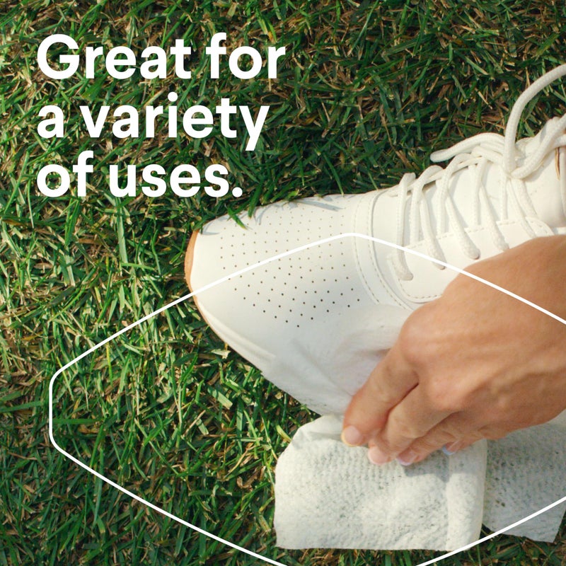 Clorox Disinfecting Cleaning Wipes Variety Pack, 75 Count Each, Pack of 4 (Package May Vary) - Image 5