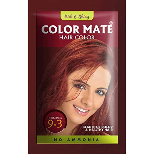 COLOR MATE No Ammonia Hair Burgundy Color 200G (9.3) - Image 2