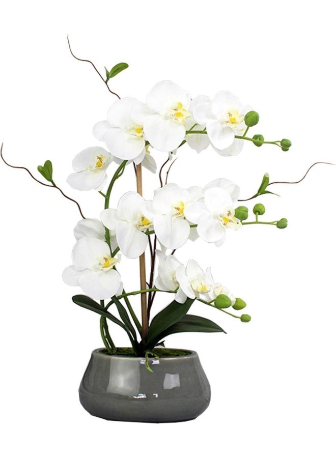 Tinsow Artificial Green Phalaenopsis Simulation Moth Orchid Leaf Real Latex Touch Green Plant for Flowers Garden Bonsai Decor (5, 9.5"/5 Leaves) - Image 4