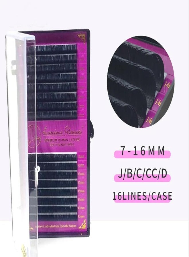 Luscious Glances Soft And Natural Eyelash Extensions Individual Lashes 0.5 Thickness Curl-D (16 MM) - Image 3