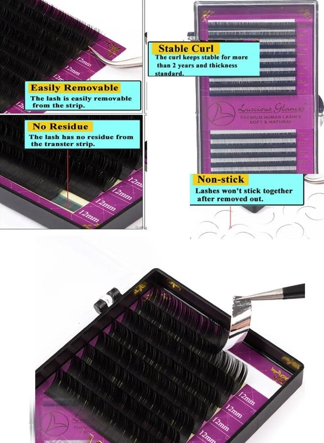 Luscious Glances Soft And Natural Eyelash Extensions Individual Lashes 0.5 Thickness Curl-D (16 MM) - Image 5