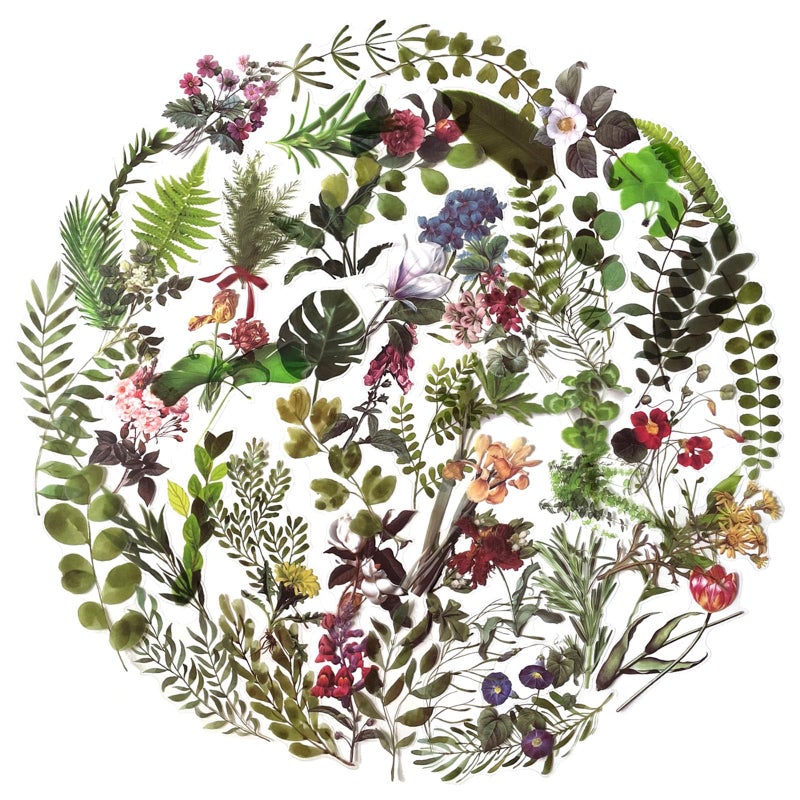MAXLEAF Transparent Nature Flower Stickers 120PCS Waterproof Vintage Plants Flowers Leaves Fern Clear Stickers for Journaling Planners Scrapbook Laptops Diary Decoration Leaves and Flowers