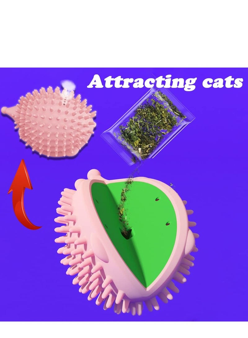 SYOSI Cat Self Groomer 4.5in Cat Grooming Brush Wall Mount Cat Face Grooming Brush Pet Grooming Massage Comb Groomer Massage Comb for Long Short Fur Kitten Cats 3Pcs - Image 3