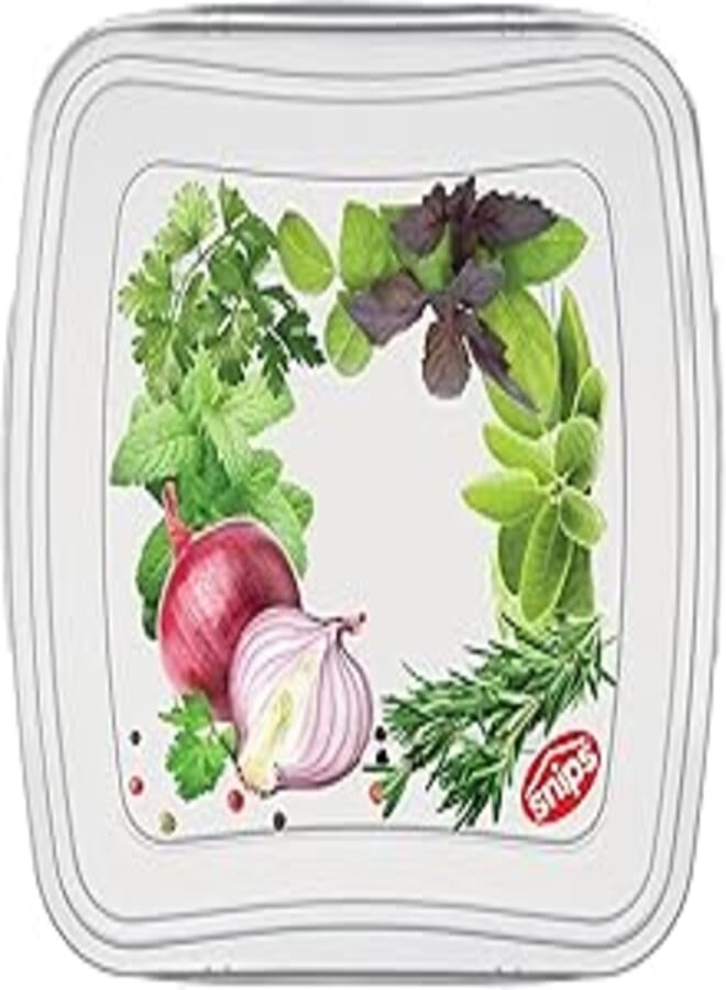 Snips food classic fresh container 0.25 liter square, multi-color, one size 054998
