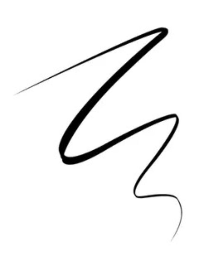 Best Seller Mahmood Saeed Elizabeth Helen Fluid Eyeliner 10 Ml Black
