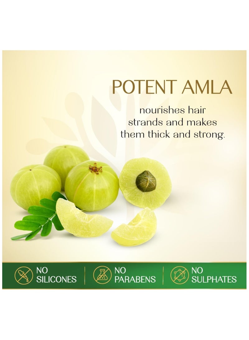 Herbsindia Amla & 7 Herbal Seeds Hair Oil (180ml) - With Innovative Nourish Tube - Strengthens & Thickens Hair - Silicone & Paraben-Free - Natural Scalp Therapy - Image 4
