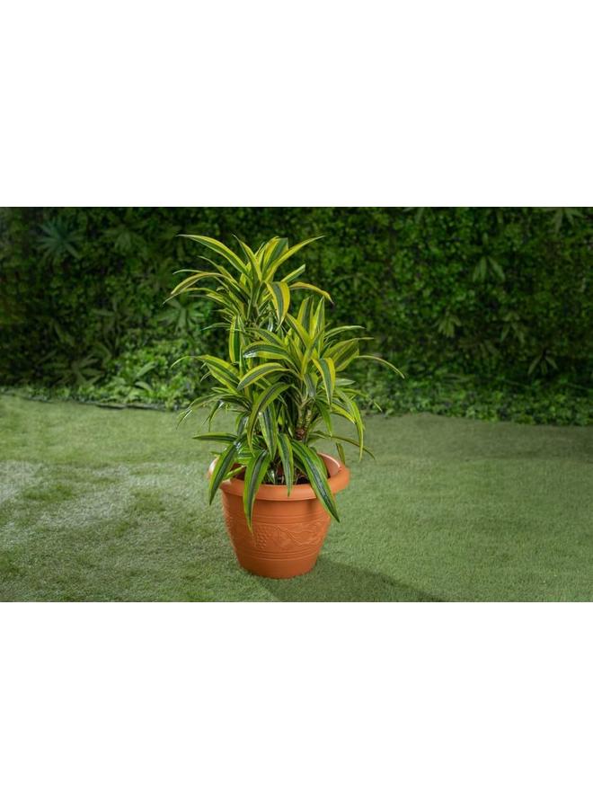 SGC Cosmoplast Plastic Round Flowerpot D38Xh28 Brown Color - Image 4