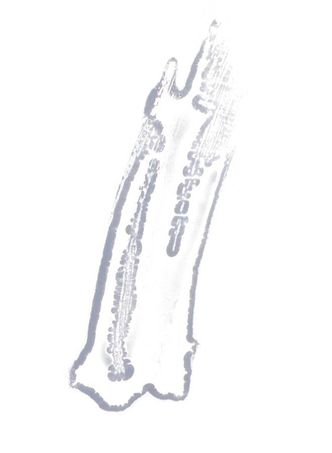 Ere Perez - Natural Mango Lip Honey | Hyaluronic Acid, Jojoba Seed Oil | Hydrate, Moisturize, Nourish, Soften | Vegan, Cruelty-Free, Clean Beauty (Glaze, 0.10 fl oz | 3 ml) - Image 2