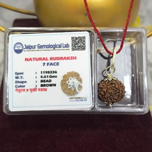 A & S VENTURES A&S Ventures 7 Mukhi Rudraksha Original Certified | Seven Face Rudraksha for Wealth & Prosperity | Energized & Authentic | with Certification Card | for Men & Women | Powerful Spiritual Benefits - Image 2