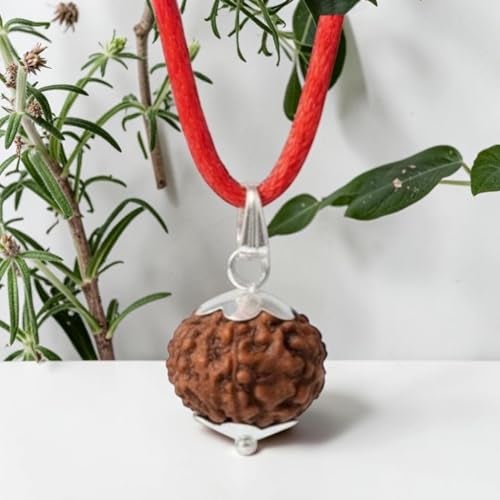 A & S VENTURES A&S Ventures 7 Mukhi Rudraksha Original Certified | Seven Face Rudraksha for Wealth & Prosperity | Energized & Authentic | with Certification Card | for Men & Women | Powerful Spiritual Benefits - Image 1