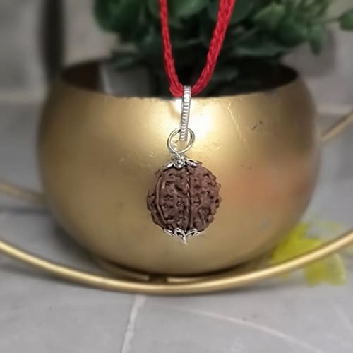 A & S VENTURES A&S Ventures 7 Mukhi Rudraksha Original Certified | Seven Face Rudraksha for Wealth & Prosperity | Energized & Authentic | with Certification Card | for Men & Women | Powerful Spiritual Benefits - Image 3