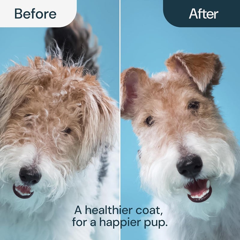 CUZWAVE 2-in-1 Pet Grooming Brush for Dogs & Cats | Deshedding Tool & Dematting Comb | Reduces Shedding Up to 95% | Undercoat Rake for Small to Large Breeds with Short to Long Hair - Image 4
