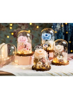 Womdee Womdee Enchanted Roses in LED Glass Dome Home Decor Artificial Flowers for Gift  - Image 2