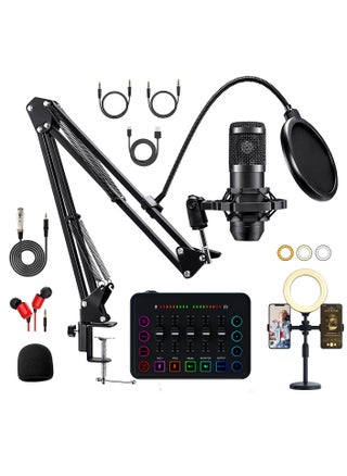 Standard package + fill light + black microphone