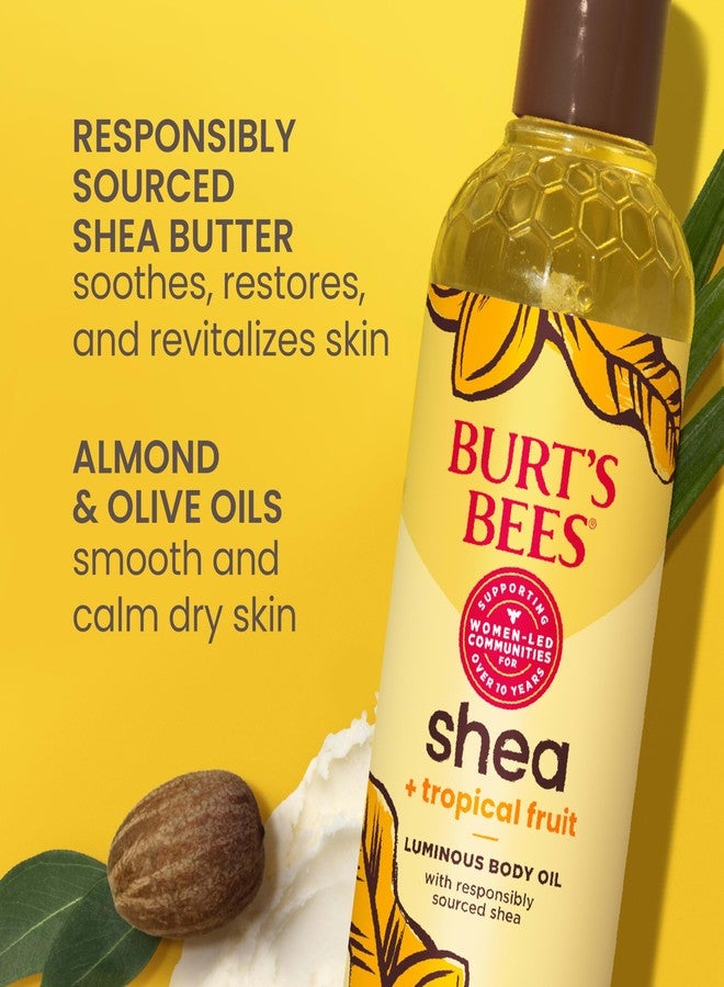 Burt's Bees منتجات بورتس بيز الأساسية للعودة إلى المدرسة، زيت الجسم اللامع بالشيا + الفواكه الاستوائية، غير دهني، غني بمضادات الأكسدة لبشرة متألقة، غير مهيج، للعناية بالبشرة من أصل طبيعي، 8 أونصات. - Image 3