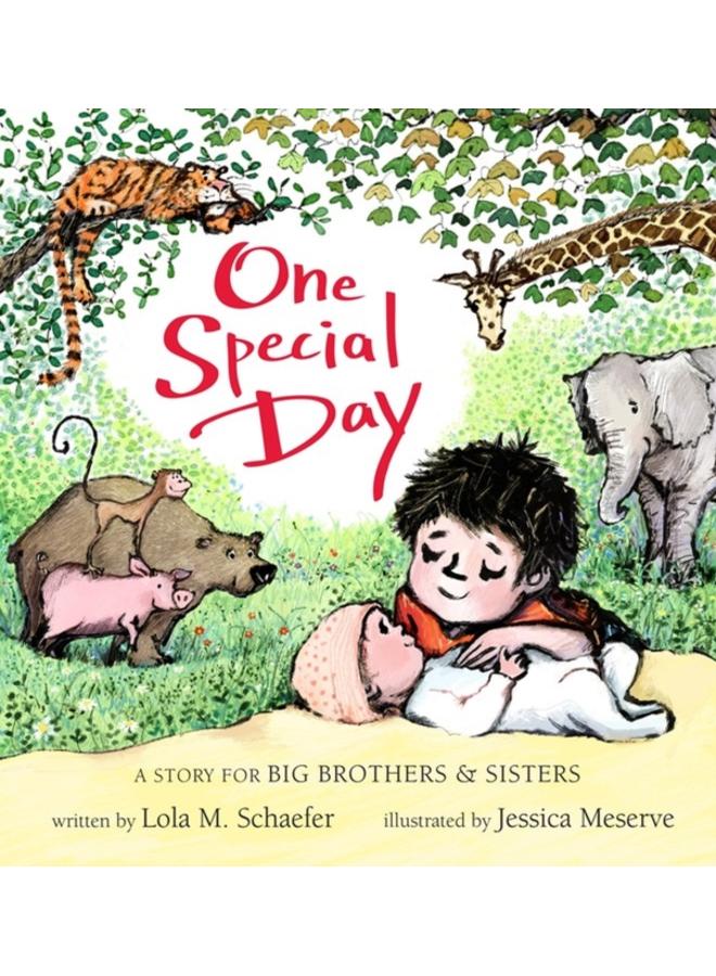 One Special Day : A Story for Big Brothers and Sisters 