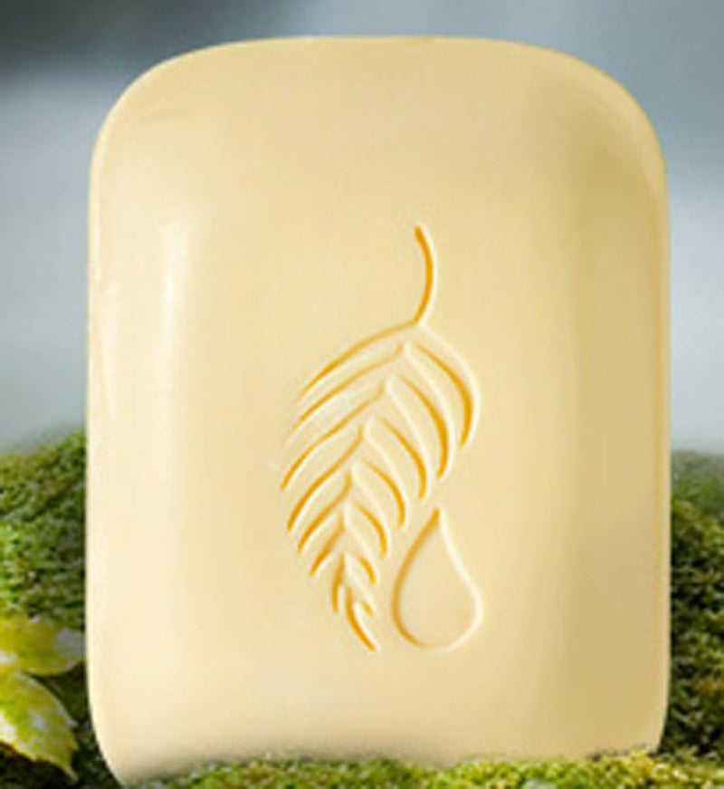 Melaleuca Pineapple Mango Bath Bar 45 oz