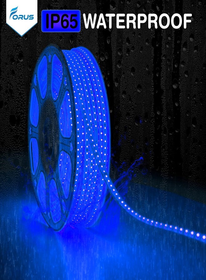 Forus LED Rope Light 40 Meter 6 Month Warranty, Outdoor Waterproof Decorative Cove Lights for Ceiling, Balcony, Home Decor, Interior Decoration, Flexible Profile Light for Diwali, Christmas -Blue - Image 5