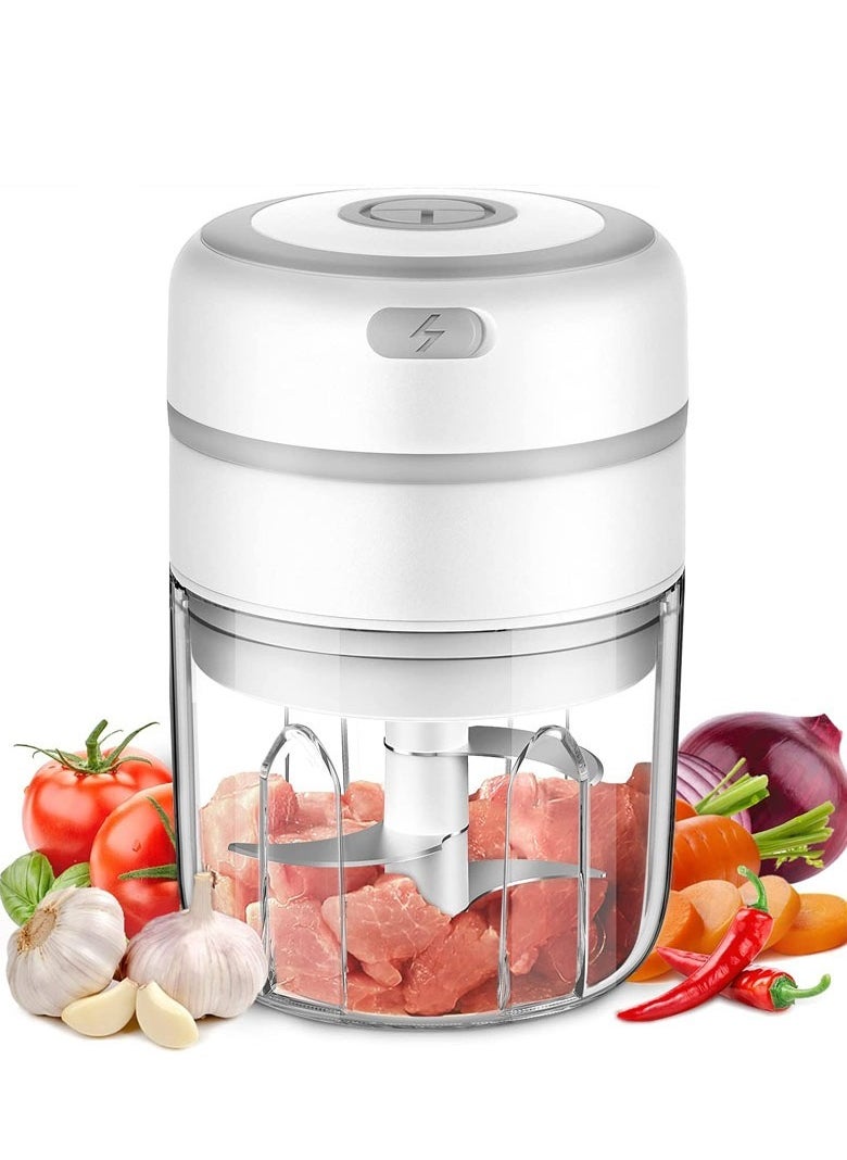 Mi VAZA Electric Mini Garlic Chopper, Slicer Blender To Meat/Vegetables/Chopped Fruit/Onion Wireless Portable Food Processor 250ml  - Image 1