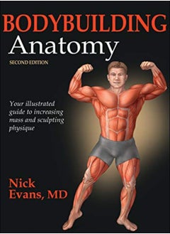 Bodybuilding Anatomy 