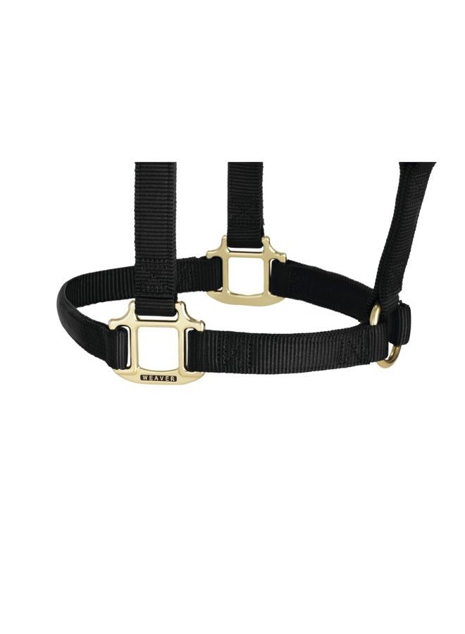 Weaver Equine Weaver Leather Original Non-Adjustable Nylon Horse Halter, Small, Black - Image 3