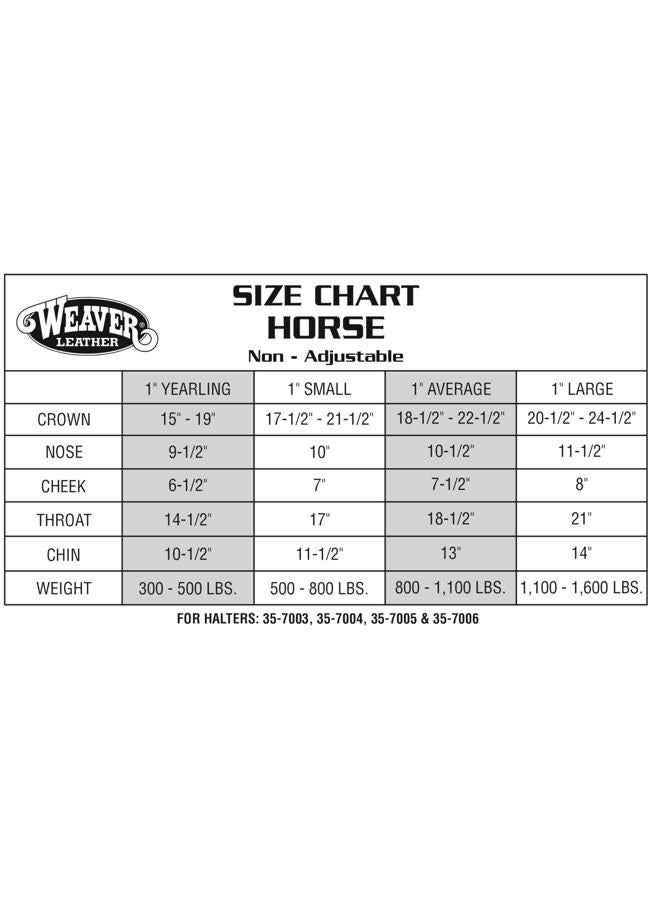 Weaver Equine Weaver Leather Original Non-Adjustable Nylon Horse Halter, Small, Black - Image 2
