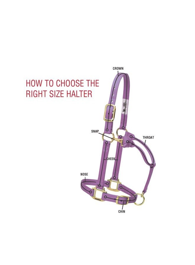 Weaver Equine Weaver Leather Original Non-Adjustable Nylon Horse Halter, Small, Black - Image 5