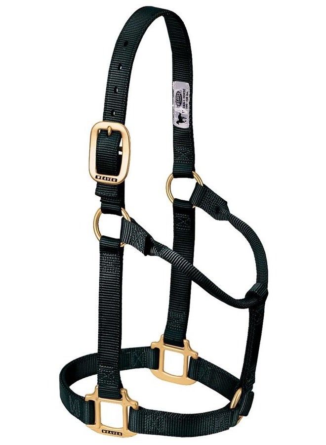 Weaver Equine Weaver Leather Original Non-Adjustable Nylon Horse Halter, Small, Black - Image 4