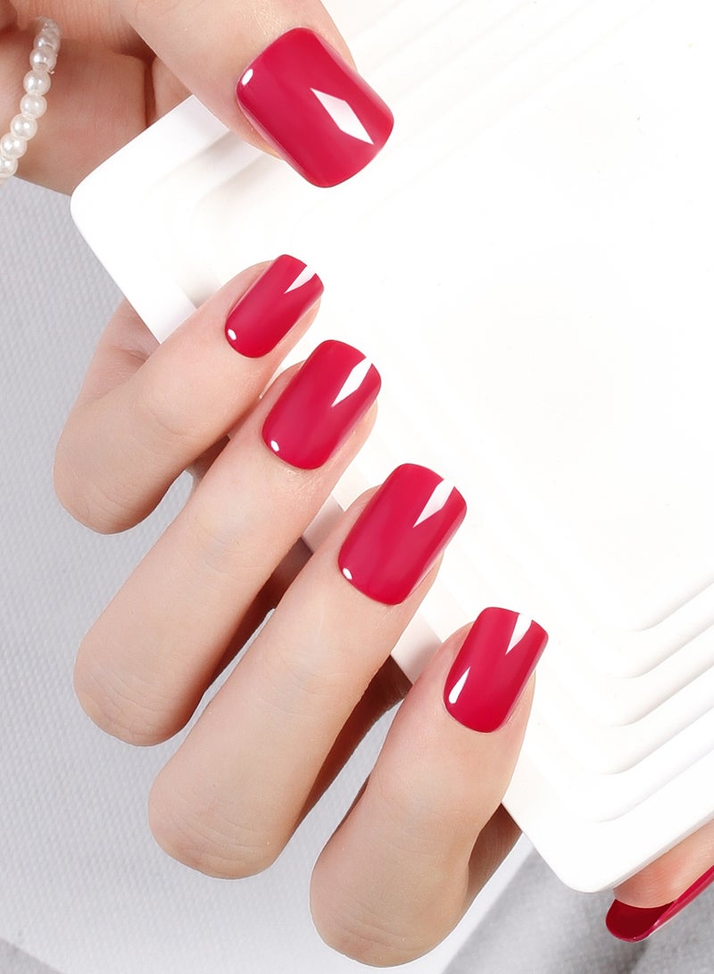 Press On Nails, 24 Gel Nails Kit, False Nails, Reusable Stick On Nails in variable Sizes, French Style, Full Well Tips, Shimmery Finish, False Nails press on, impress nails, stick on nails - Image 1