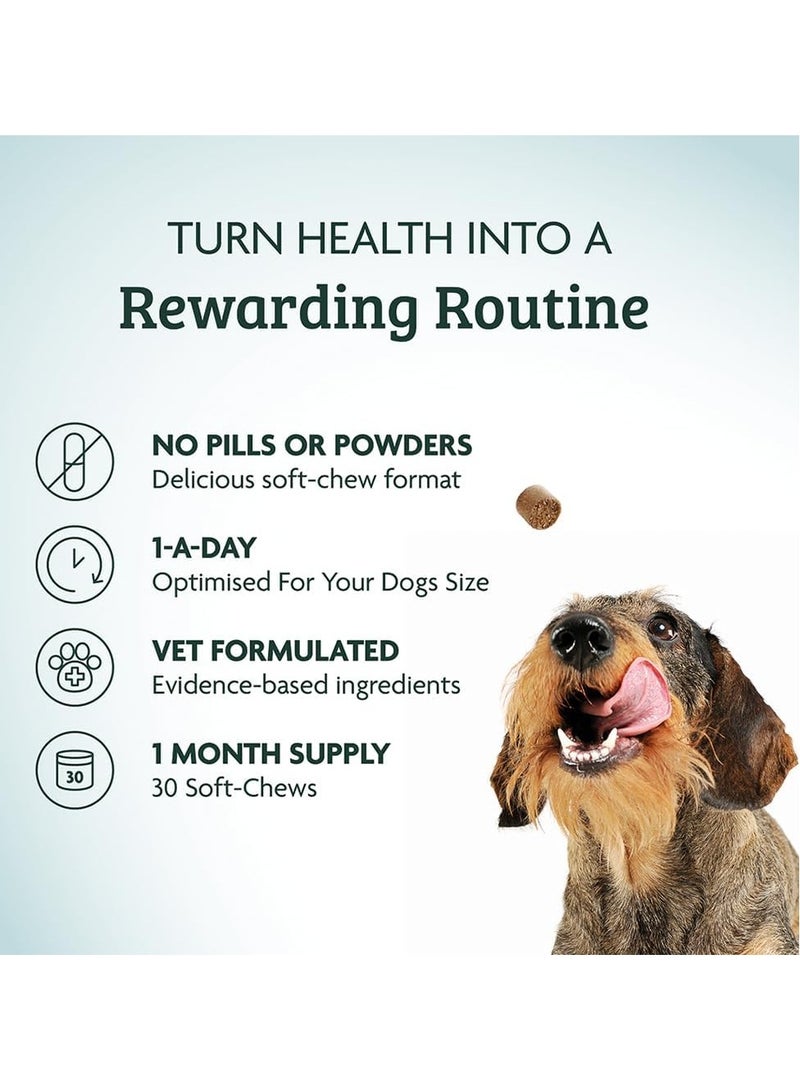 أومني مكملات غذائية لينة للمضغ من البريبايوتكس والبروبيوتكس لصحة أمعاء الكلاب علكات يومية للكلاب من الدرجة البيطرية تحتوي على الإينولين والكاولين تعزز صحة الجهاز الهضمي تقوية البراز 30 حصة مناسبة للكلاب الصغيرة من 0 إلى 15 كجم - Image 5