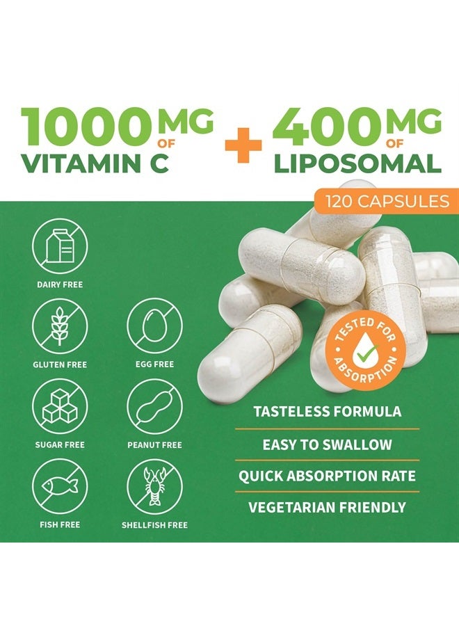 ForestLeaf Liposomal C - 1000mg Capsules - Immune Booster with MCT Oil & Sunflower Lecithin - Superior Absorption - High Dose C (Unflavored - 120 Veg Cap) - Image 2
