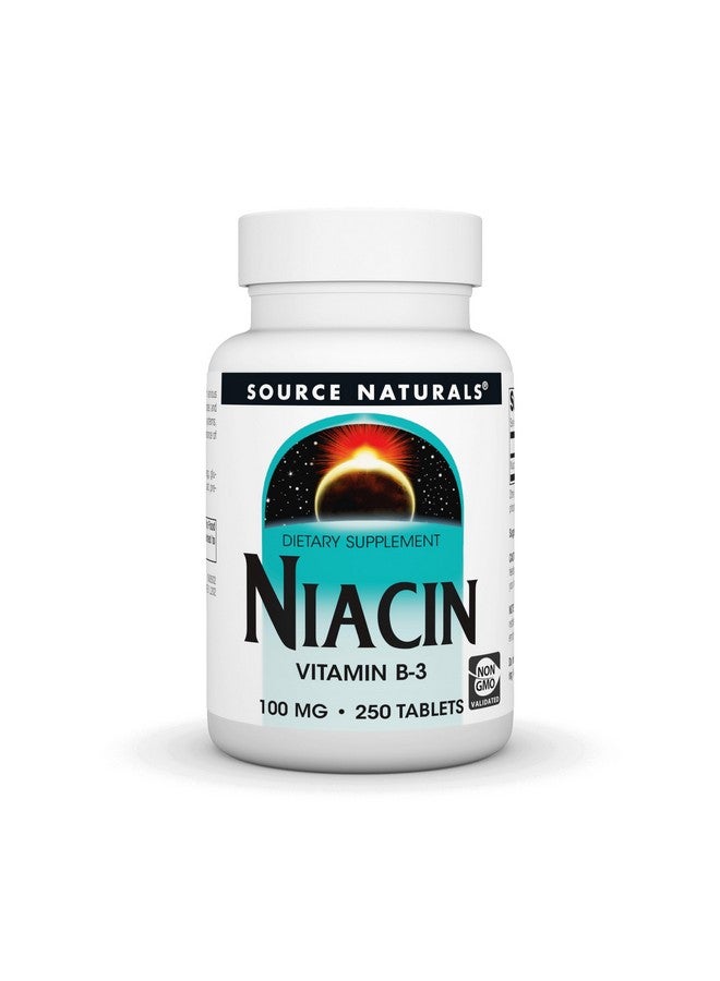Source Naturals Niacin 100 mg Vitamin B-3, Non-GMO - 250 Tablets - Image 1