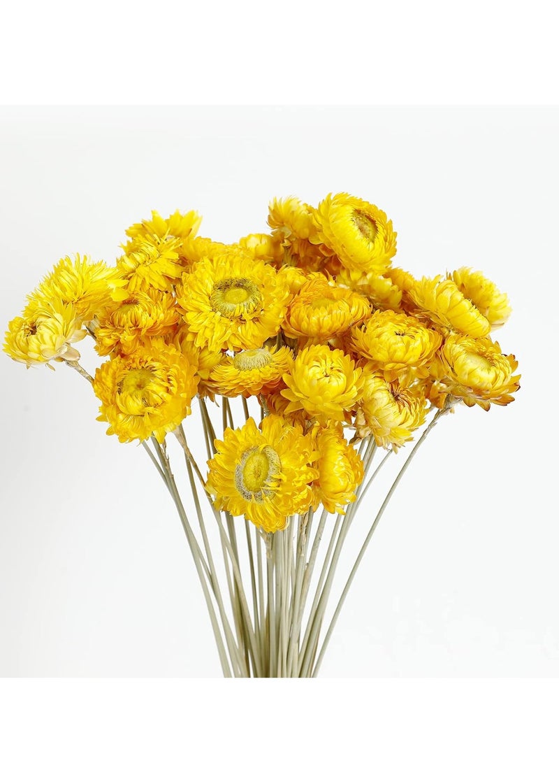 SYOSI زهور مجففة، 36 قطعة باقة زهور الأقحوان الطبيعية، أقحوان متعدد الألوان، عباد الشمس الاصطناعي، تنسيقات زهور جافة للزفاف، ديكور فازة مائدة المزرعة، تزيين حفلات المكتب المنزلي - Image 1
