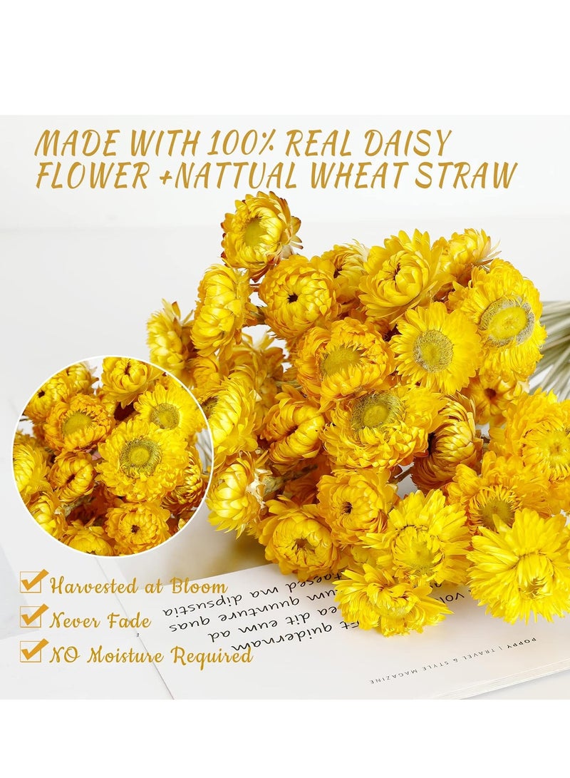 SYOSI زهور مجففة، 36 قطعة باقة زهور الأقحوان الطبيعية، أقحوان متعدد الألوان، عباد الشمس الاصطناعي، تنسيقات زهور جافة للزفاف، ديكور فازة مائدة المزرعة، تزيين حفلات المكتب المنزلي - Image 5