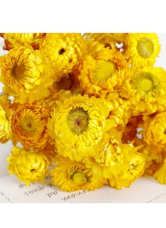 SYOSI Dried Flowers, 36PCS Bouquet Natural Daisy, Multicolor Daisies Artificial Sunflowers, Dry Flower Arrangements for Wedding, Farmhouse Table Vase Decor, Home Office Party Decoration  - Image 4