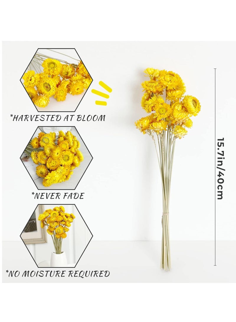 SYOSI زهور مجففة، 36 قطعة باقة زهور الأقحوان الطبيعية، أقحوان متعدد الألوان، عباد الشمس الاصطناعي، تنسيقات زهور جافة للزفاف، ديكور فازة مائدة المزرعة، تزيين حفلات المكتب المنزلي - Image 2