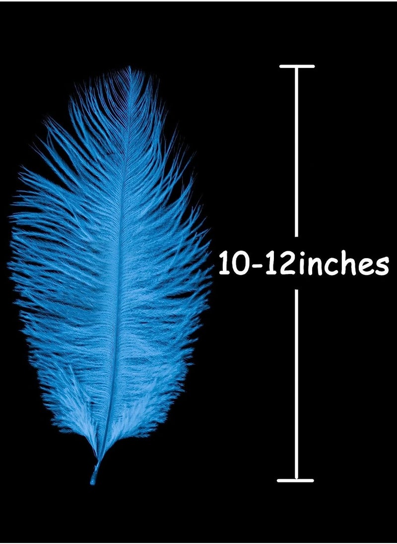 Excefore 16 pcs Color Ostrich Feathers 10-12 inch(25-30 cm) Bulk for Wedding Party Centerpieces, Flower Arrangement and Home, Gatsby Decorations  - Image 3