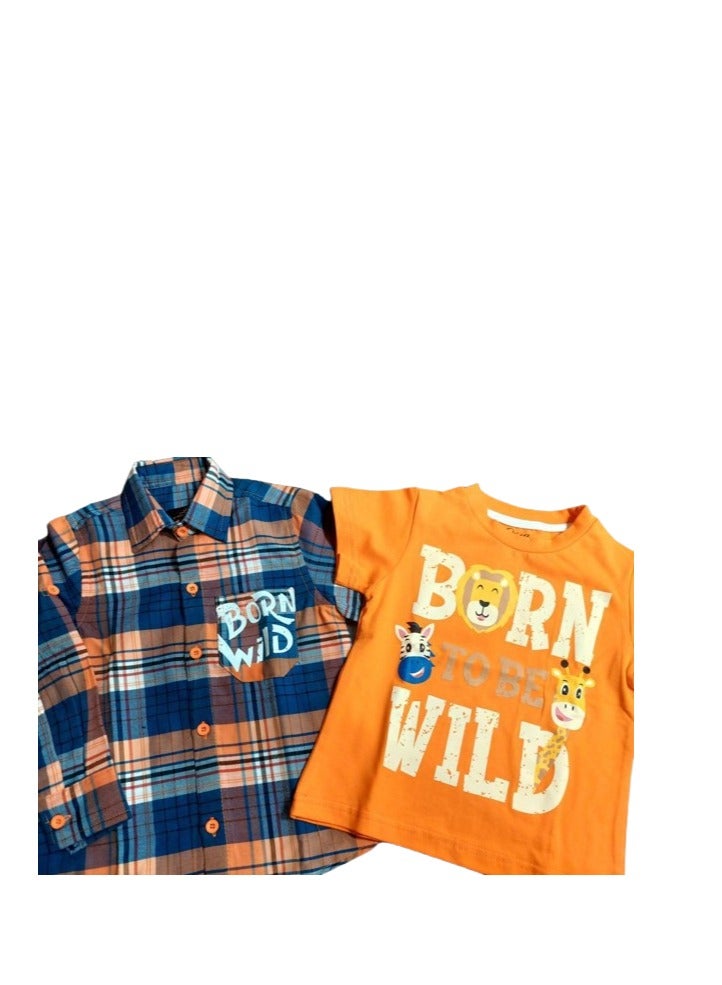 Shimizu, a boys' autumn t-shirt - Image 2