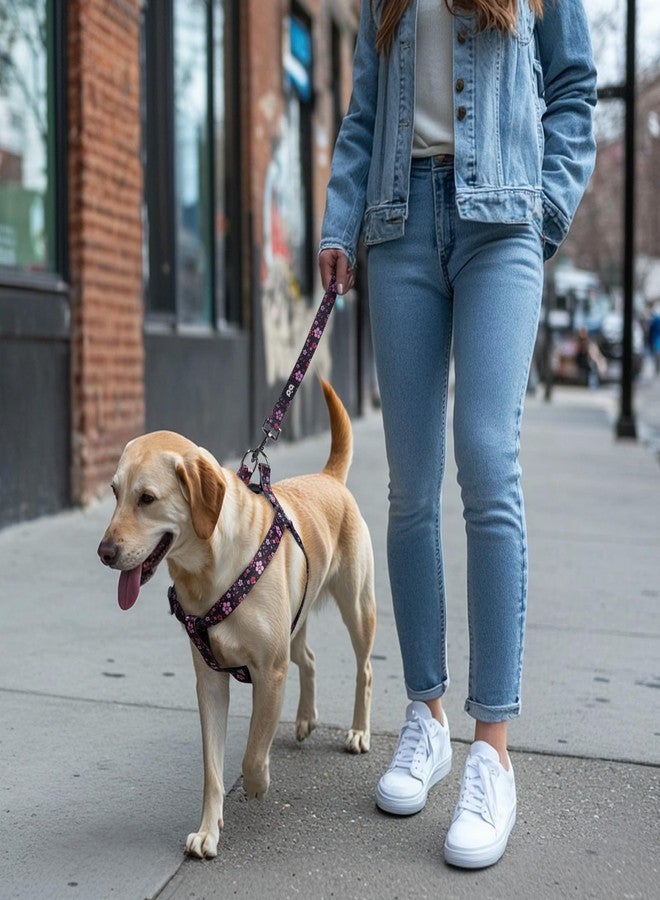 كيوكيو بيتس طقم حزام ومقود للكلاب من QQPETS، قابل للتعديل، شديد التحمل، يمنع الشد، مناسب للكلاب الصغيرة والمتوسطة والكبيرة، مزود بمشبك خلفي مضاد للالتواء، مثالي للمشي - Image 5