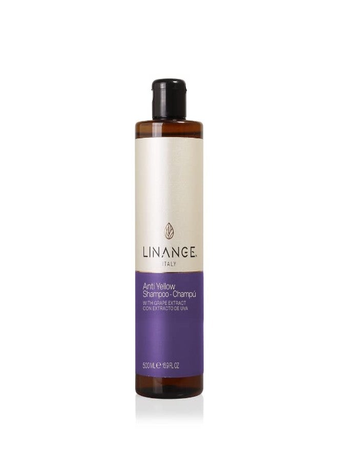 LINANGE Anti Yellow Shampoo with Grape Extract and Violet Pigment, 16.9 oz. - Image 1