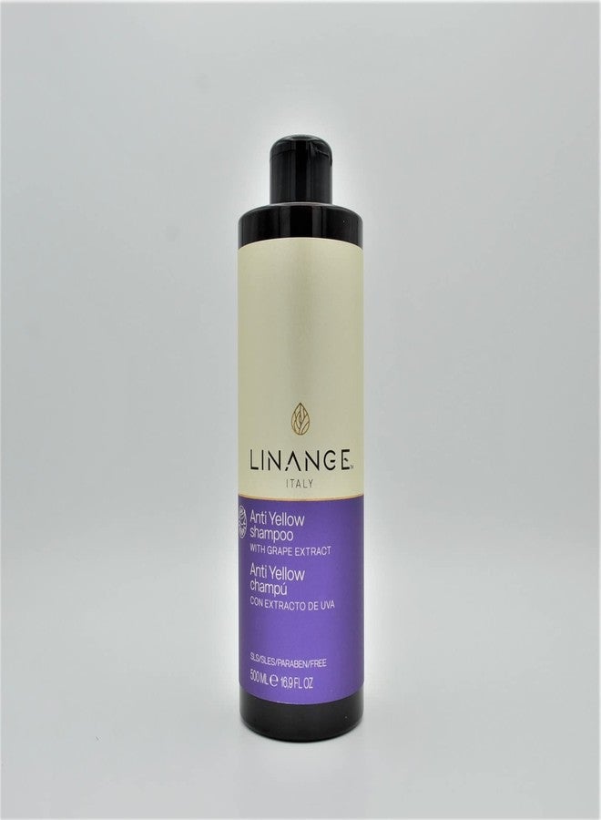 LINANGE Anti Yellow Shampoo with Grape Extract and Violet Pigment, 16.9 oz. - Image 2