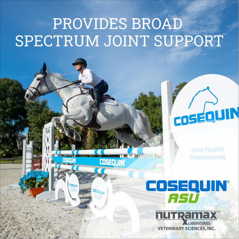 COSEQUIN Nutramax Cosequin ASU Joint Health Supplement for Horses - Powder with Glucosamine, Chondroitin, ASU, and MSM, 500 Grams - Image 4