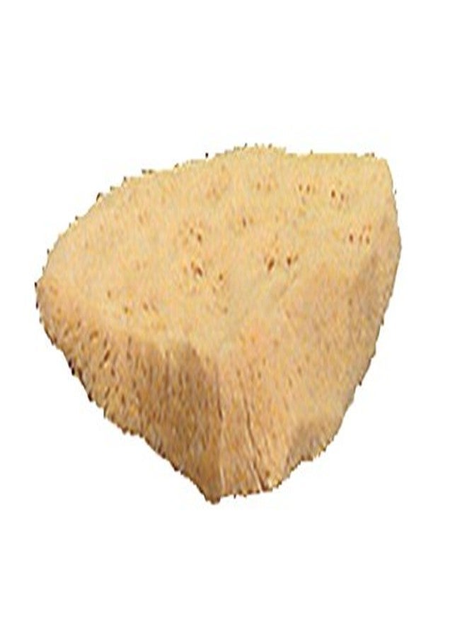 Royal Brush R2012-B Highly Absorbent Elephant Ear Sponge, 4" - 5" Diameter x 3/8" Thickness