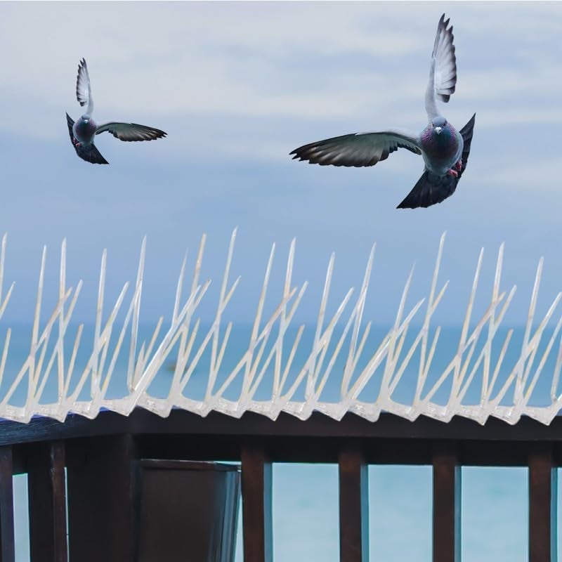 Essoti (Pack of 50) Transparent Bird & Pigeon Spikes for AC, Balcony, Railing, Window - Anti-Bird Protection - Image 3