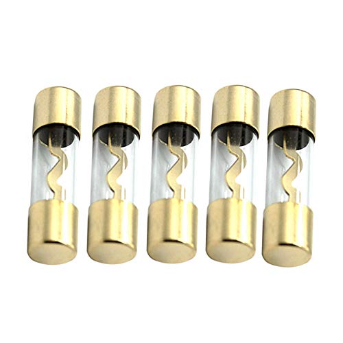 Etopars Etopar 5 X 100A AGU Fuse Car Auto Audio Power Safety Protect Glass Tube Gold Plated Radio - Image 1