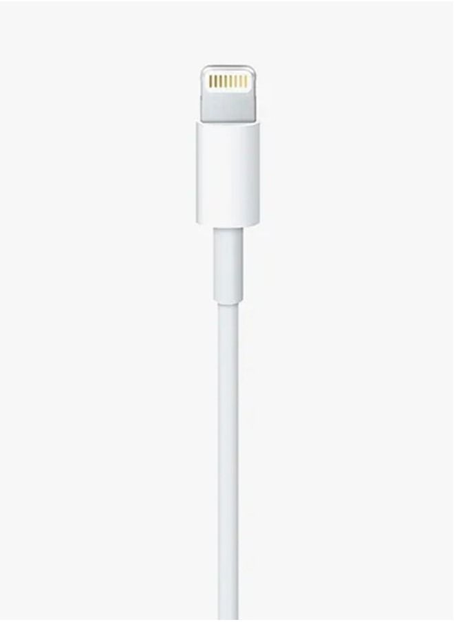 Generic - Lightning To USB-C Cable 2 Meter White - Image 1