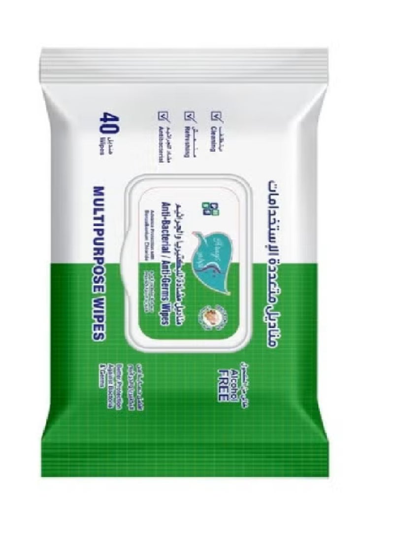 Alarays Two Pieces of Anti Bacterial and Anti Germs Wipes 40 wipes  - Image 2